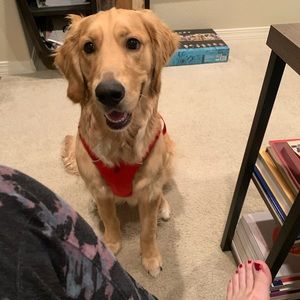 Meet your Posher, Roxanne